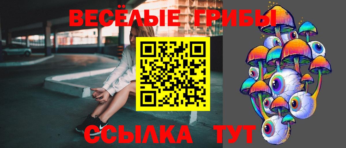 Галлюциногенные грибы мицелий  Вход с VPN  Екатеринбург  Псилоцибиновые грибы Psilocybe 