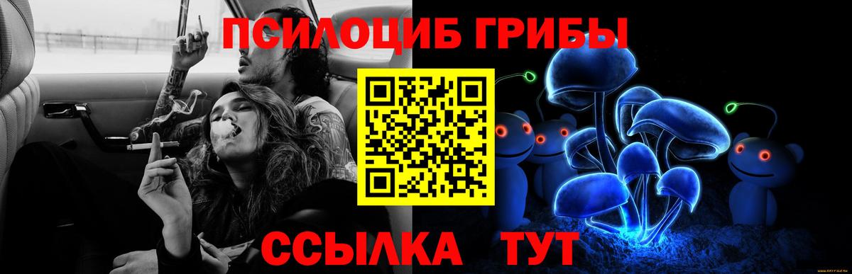 Галлюциногенные грибы Magic Shrooms Екатеринбург